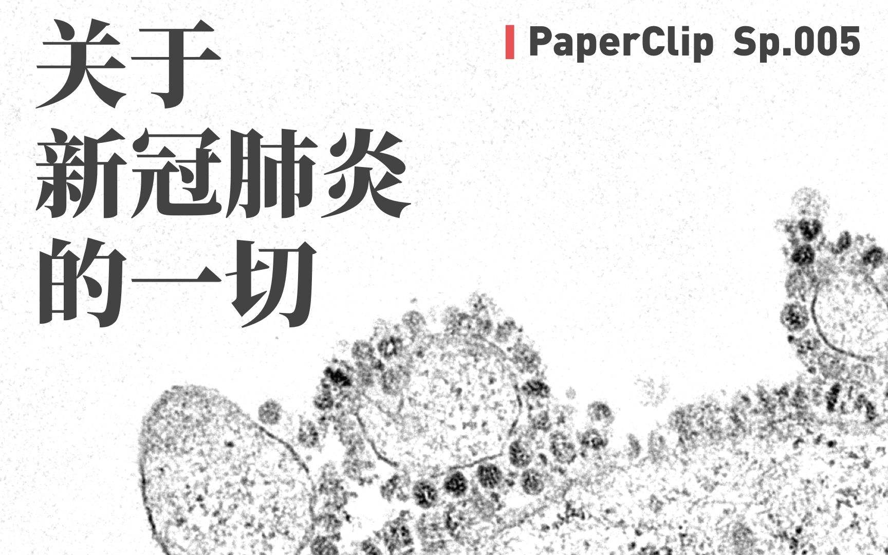 回形針.短視頻營(yíng)銷(xiāo)的三板斧
