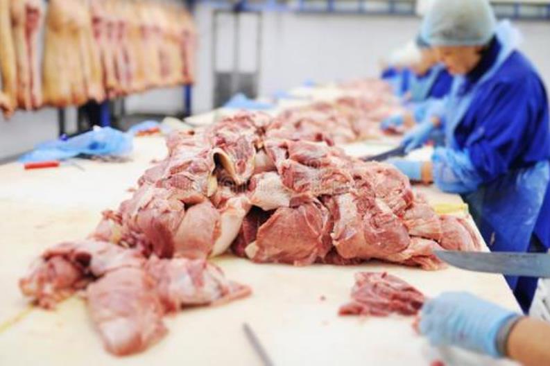 禽肉加工企業(yè)如何通過營銷策劃將產品推向市場