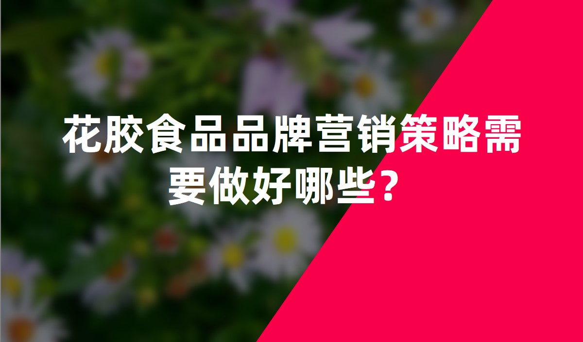 花膠食品品牌營銷策略需要做好哪些？