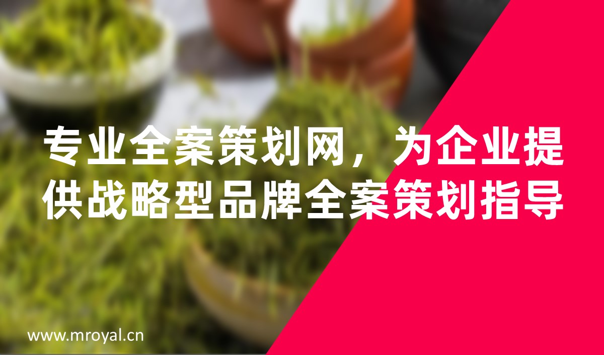 專業(yè)全案策劃網(wǎng)，為企業(yè)提供戰(zhàn)略型品牌全案策劃指導(dǎo)
