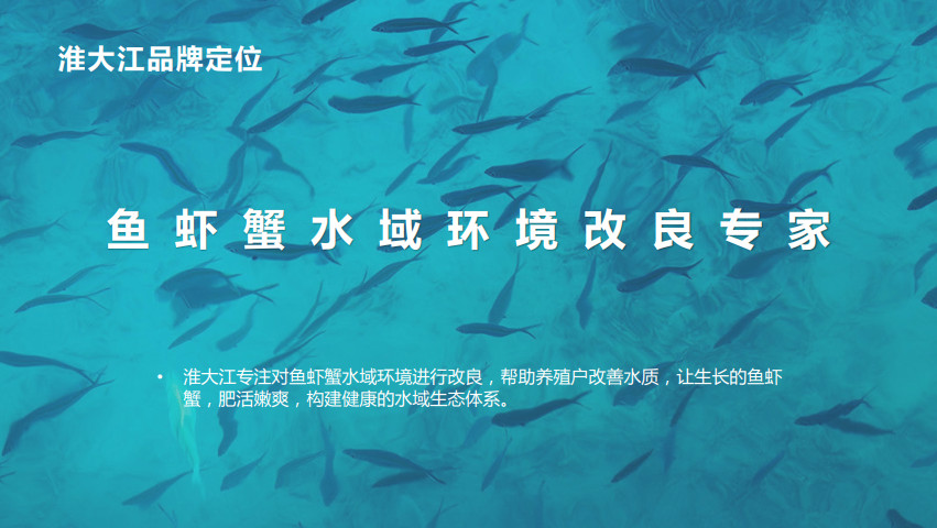 水產(chǎn)動保品牌全案策劃設(shè)計
