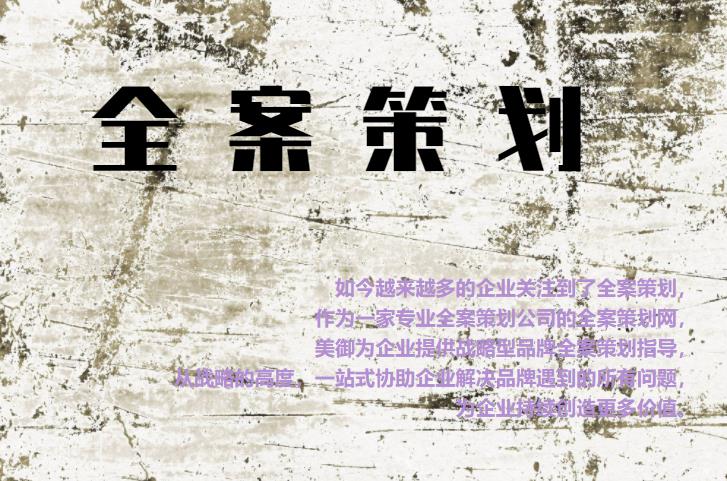 專業(yè)全案策劃網(wǎng)，為企業(yè)提供戰(zhàn)略型品牌全案策劃指導(dǎo)
