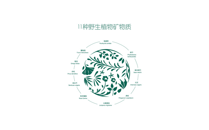 化妝品包裝設(shè)計(jì)