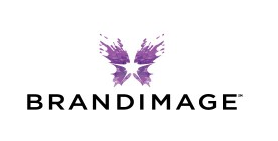 BRANDIMAGE 品牌資產(chǎn)設計公司