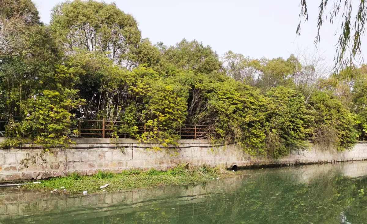 首屆陜西省農(nóng)業(yè)品牌設(shè)計(jì)大賽正式啟動