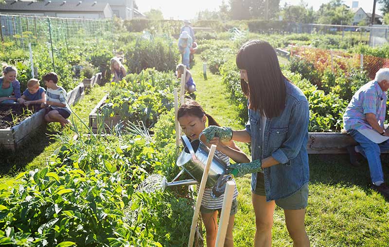 都市品牌農(nóng)業(yè)越來越受消費者青睞_品牌農(nóng)業(yè)