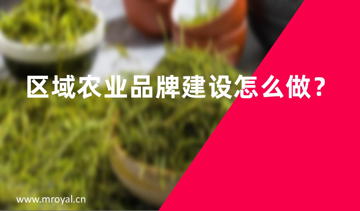 區(qū)域農業(yè)品牌建設怎么做？