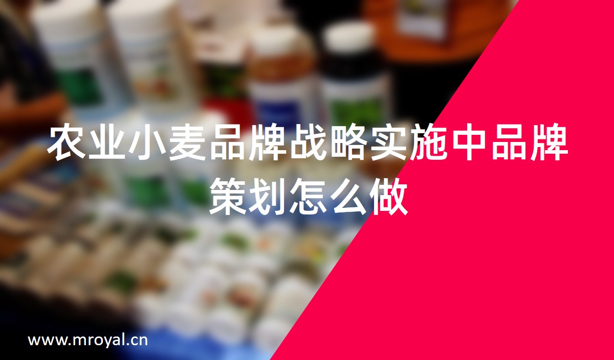 農業(yè)小麥品牌戰(zhàn)略實施中品牌策劃怎么做